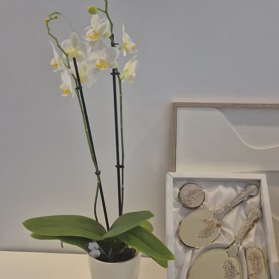 Luxus Hochzeitsset – Spiegel-Set, Koran-Set Samtboxen mit Perlen | Perfektes Brautgeschenk